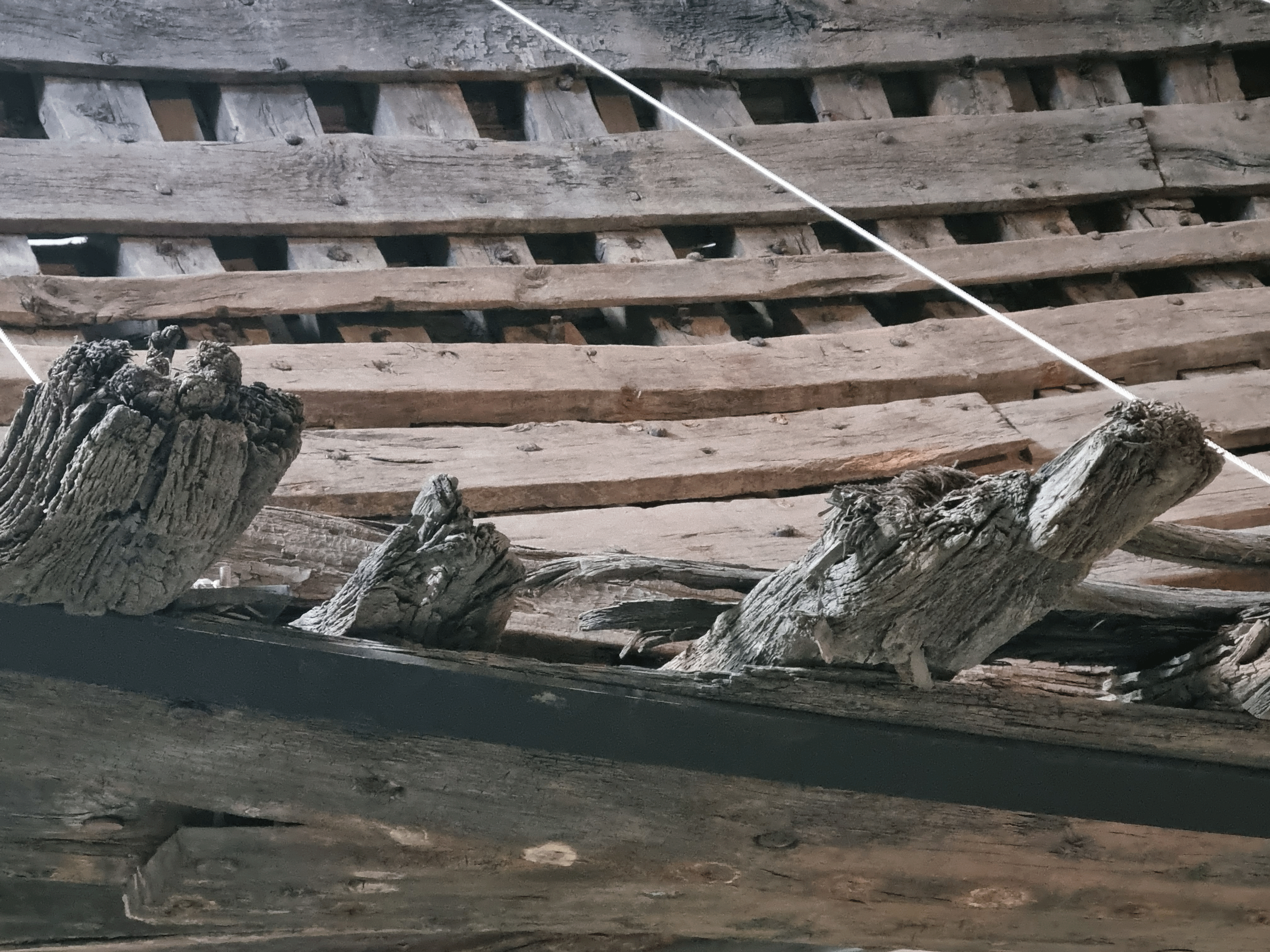 The Kadriorg Cog exhibited in Tallinn, Estonia