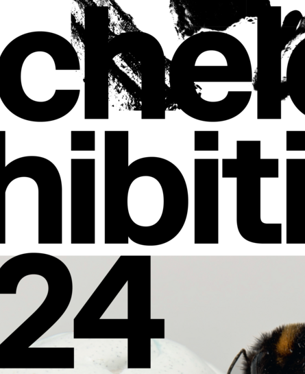 Poster: Bachelor Exhibition 2024