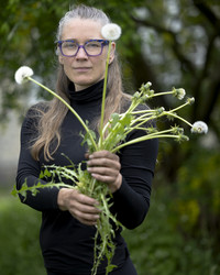 The researcher holding a dandelion full of spores up in front of the face
