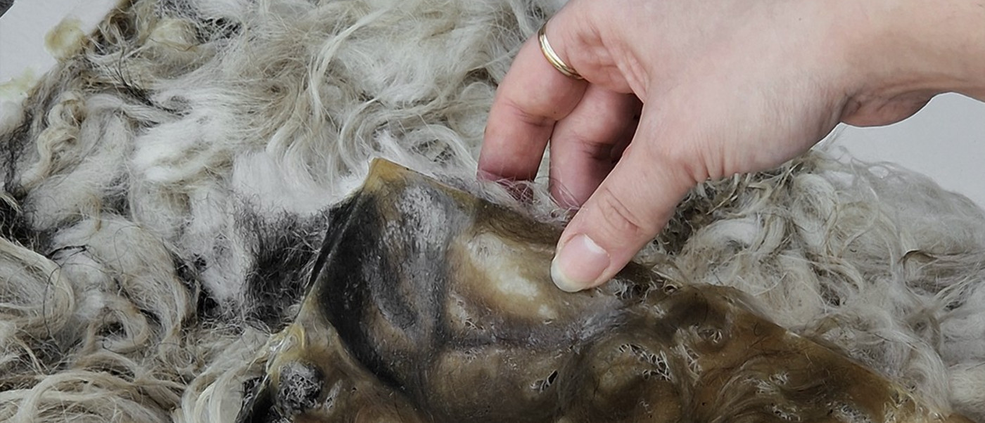 Hand holding a translucent material sample with embedded fibers on wool.
