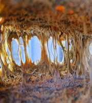 Interior view of a hollow structure with thread-like golden textures.