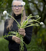 The researcher holding a dandelion full of spores up in front of the face