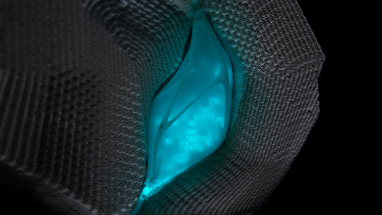 Bioluminescence