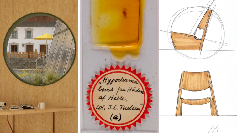 Three-panel collage showing a round window overlooking a courtyard, an insect specimen with a label, and sketches of a wooden chair.