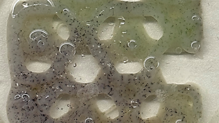 Transparent, organically shaped material with holes, air bubbles and dark particles.
