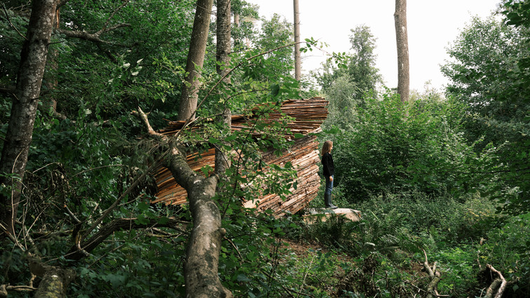 Person standing beside a sculptural structure of stacked wooden planks in a dense, green forest.