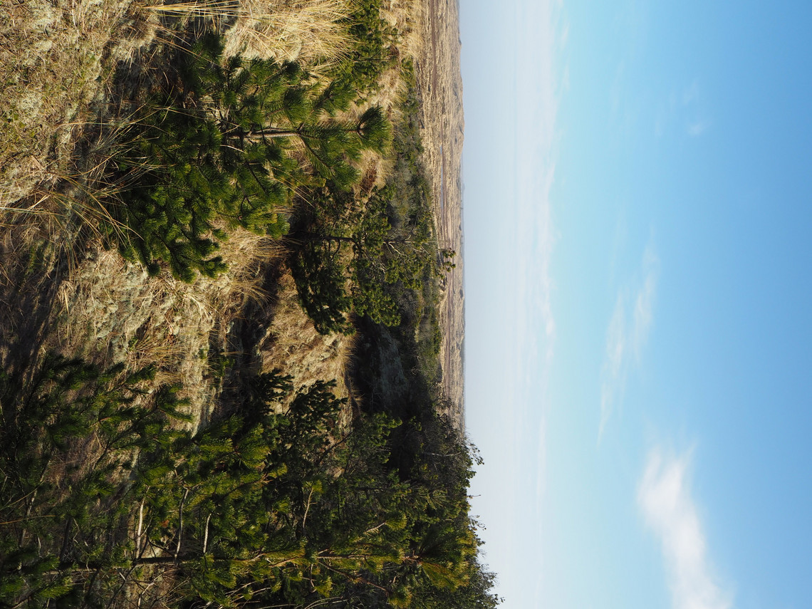 Nationalpark Thy