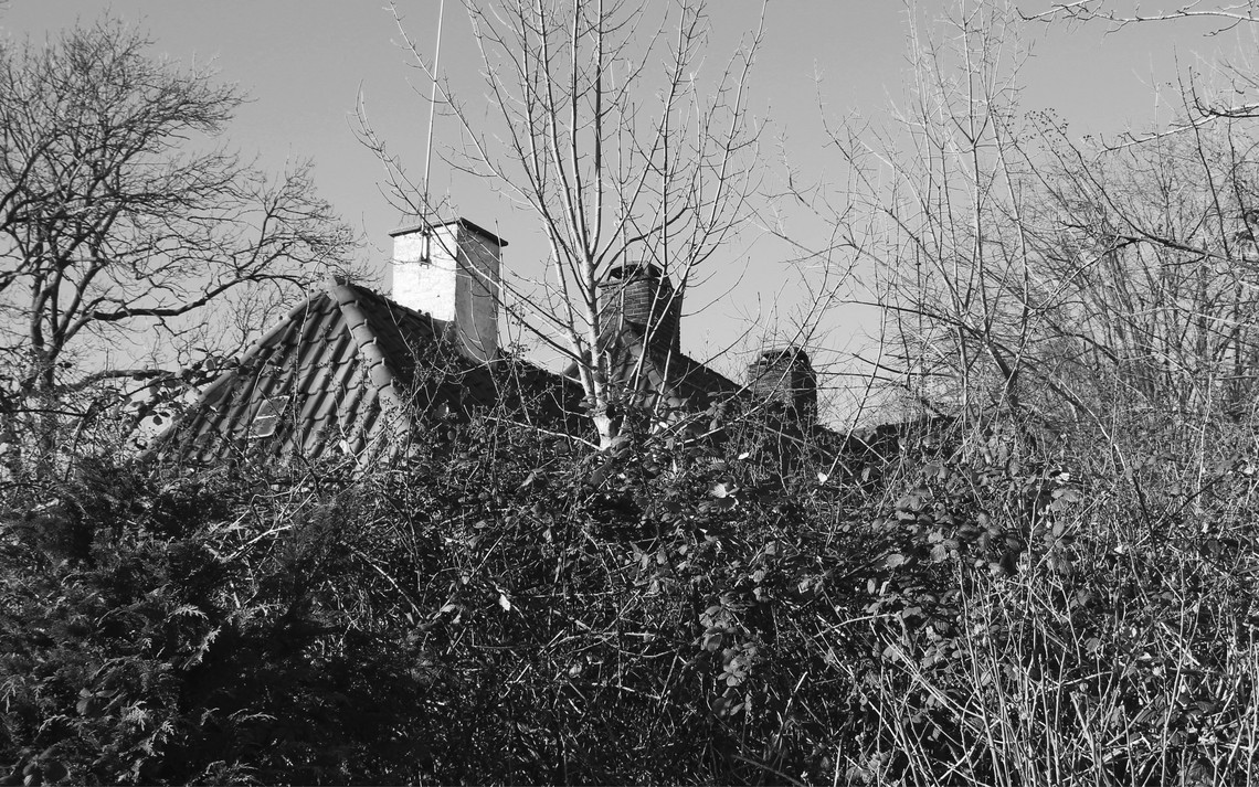 Billede – Overgroet. 