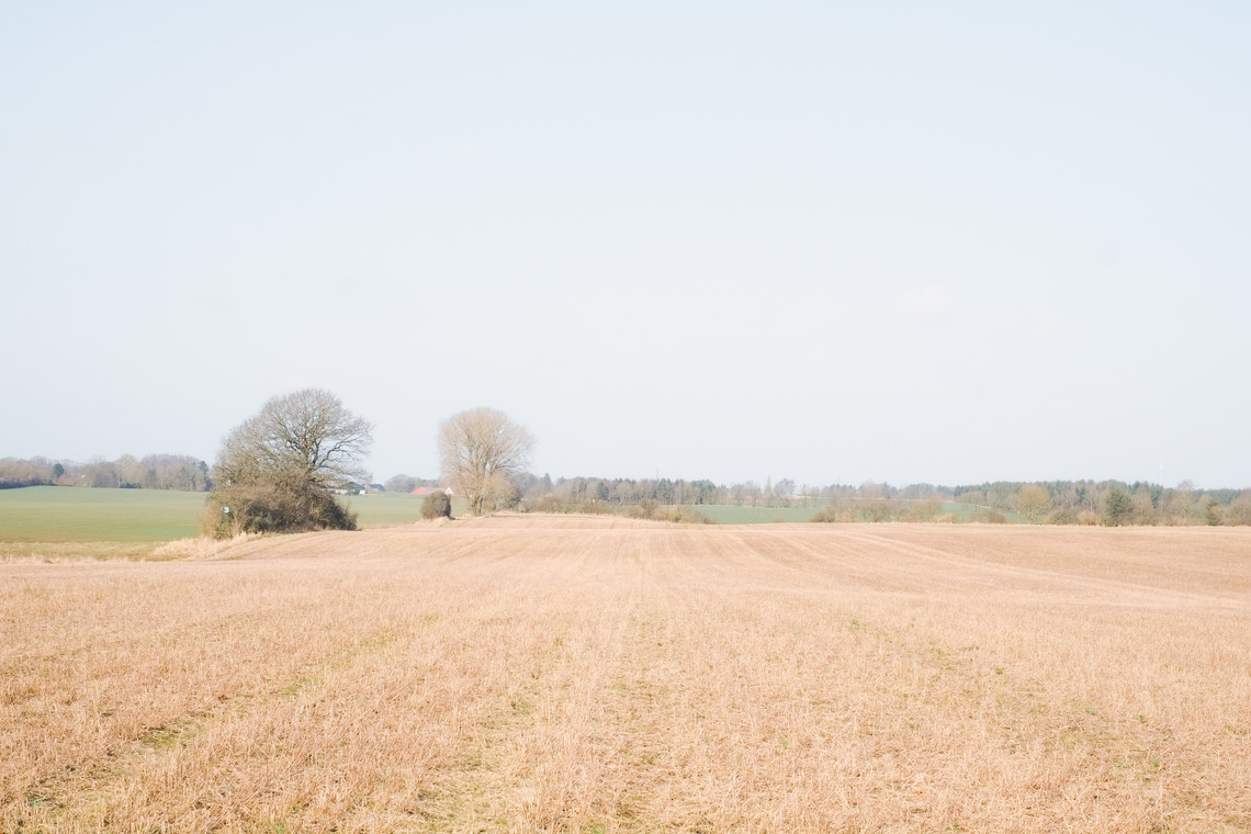 Site photo 8