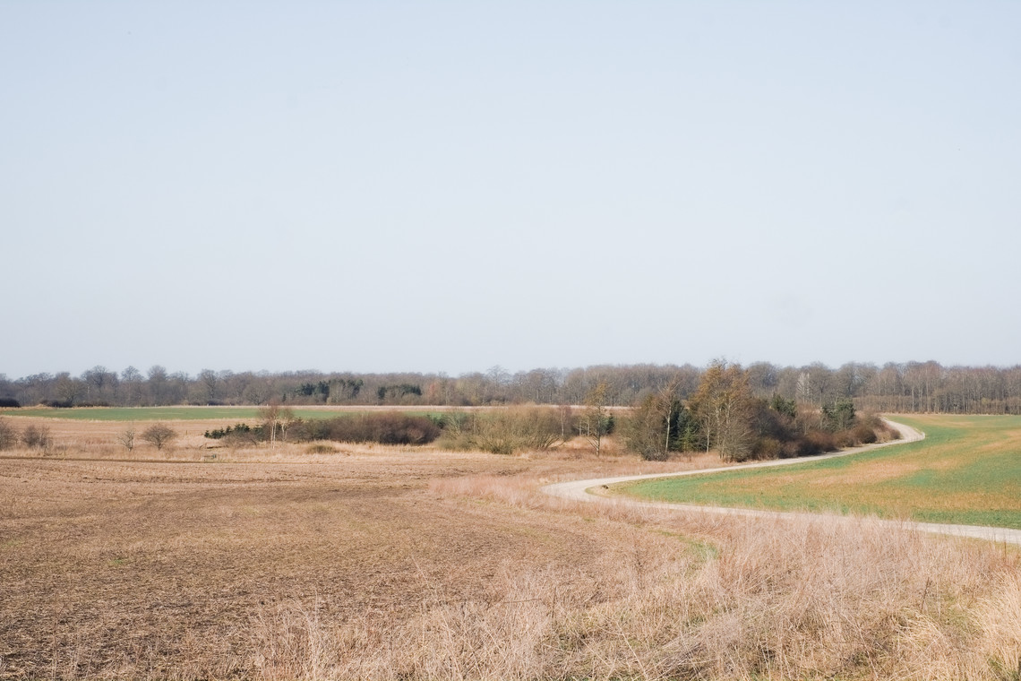 Site photo 6