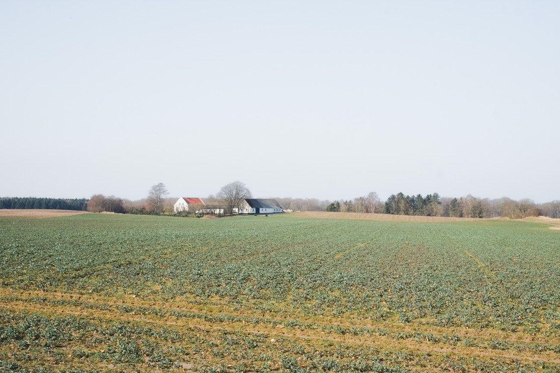 Site photo 4