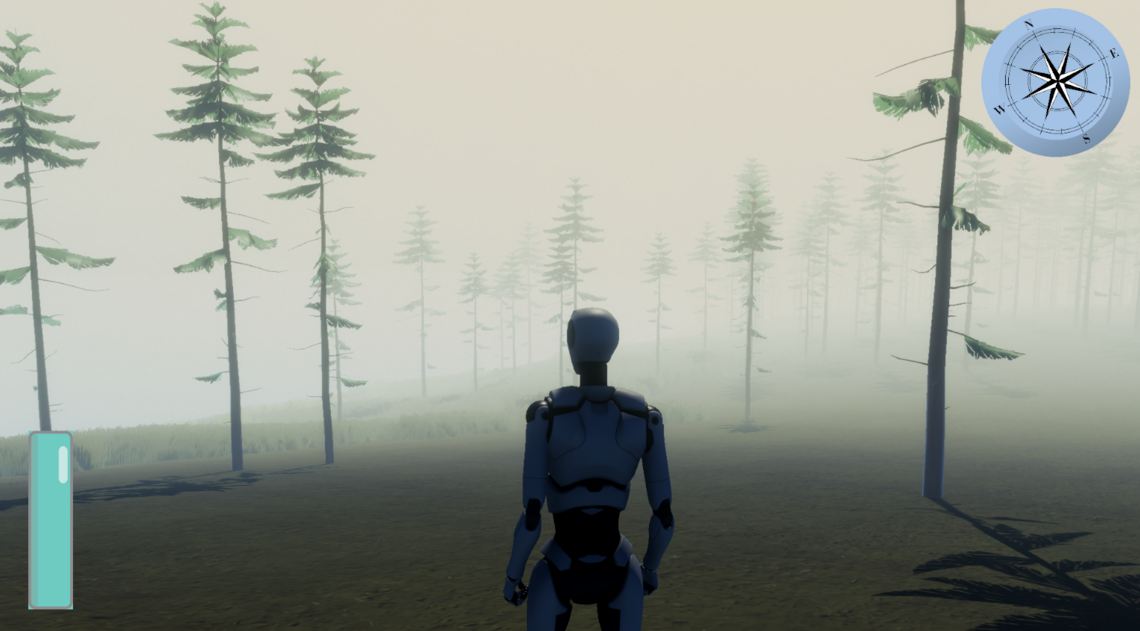 Pine Forest