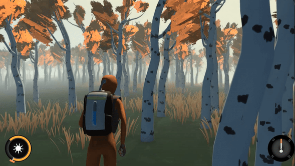 Birch Forest