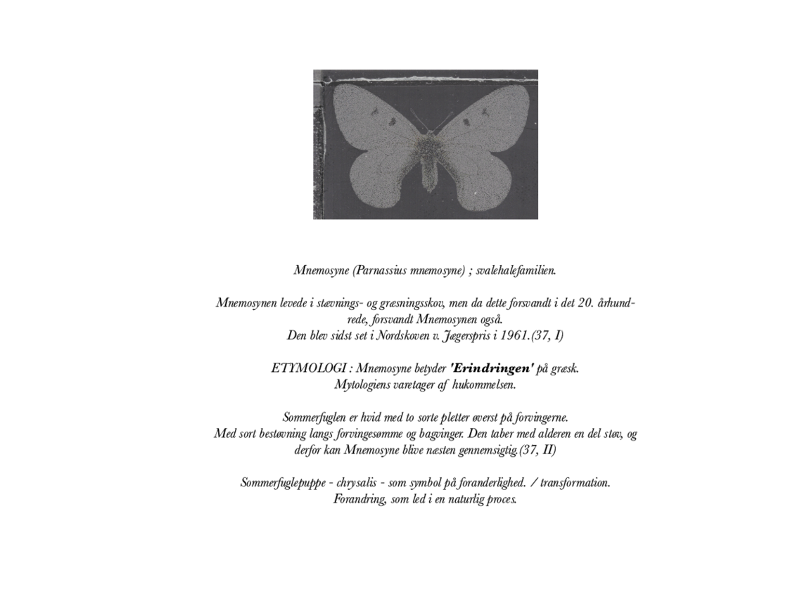 Mnemosyne