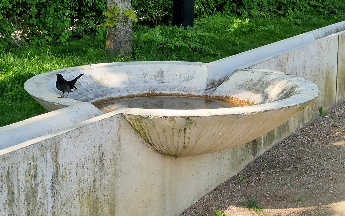 Elevated concrete trench at Enghaveparken, Tredje Natur (2019)