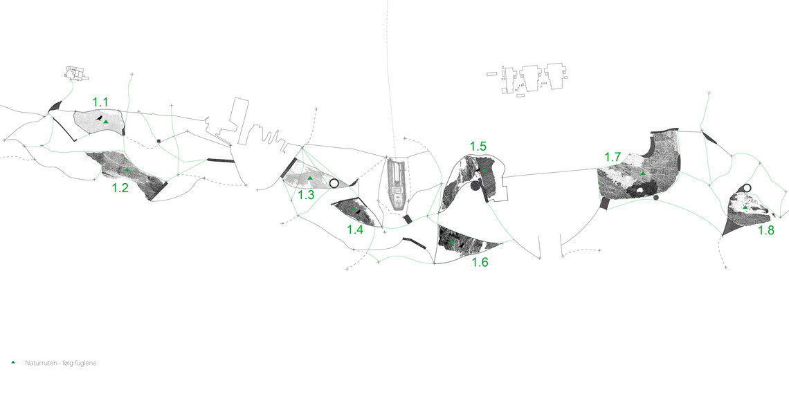 Grøn rute