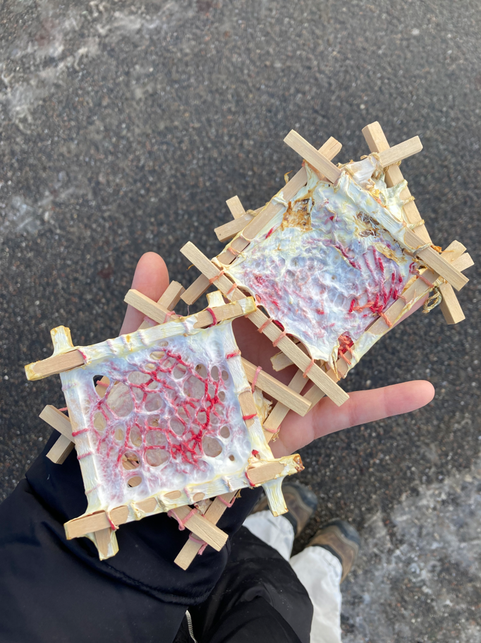 knot: woven mycelium panel