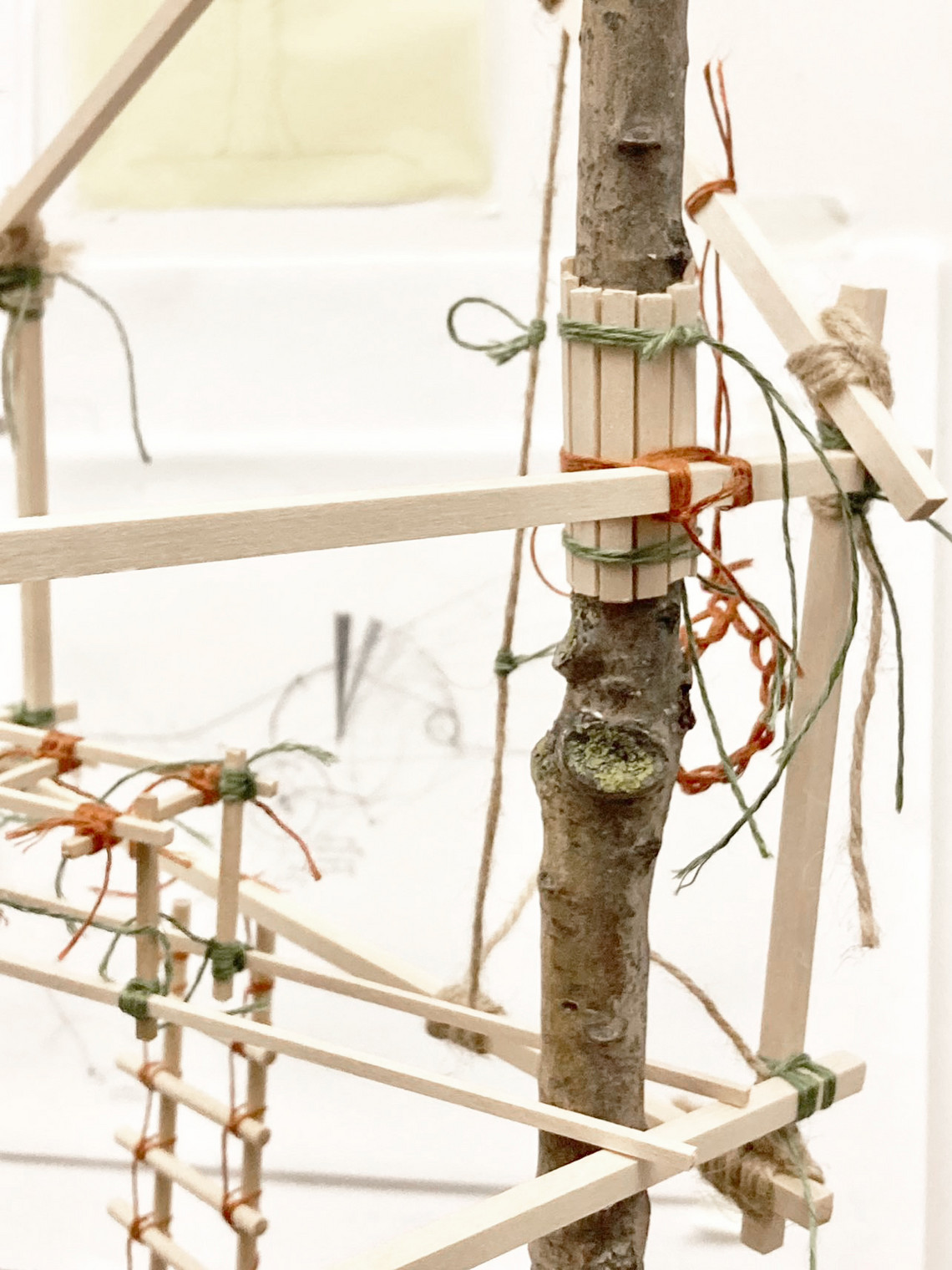 knot: tree house model