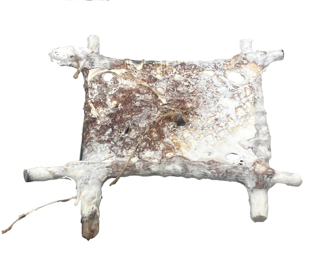 knot: mycelium panel