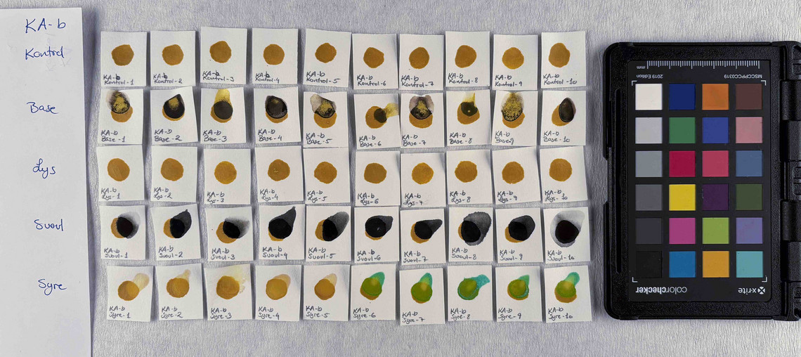 Aureolin in concentration b, after treatment