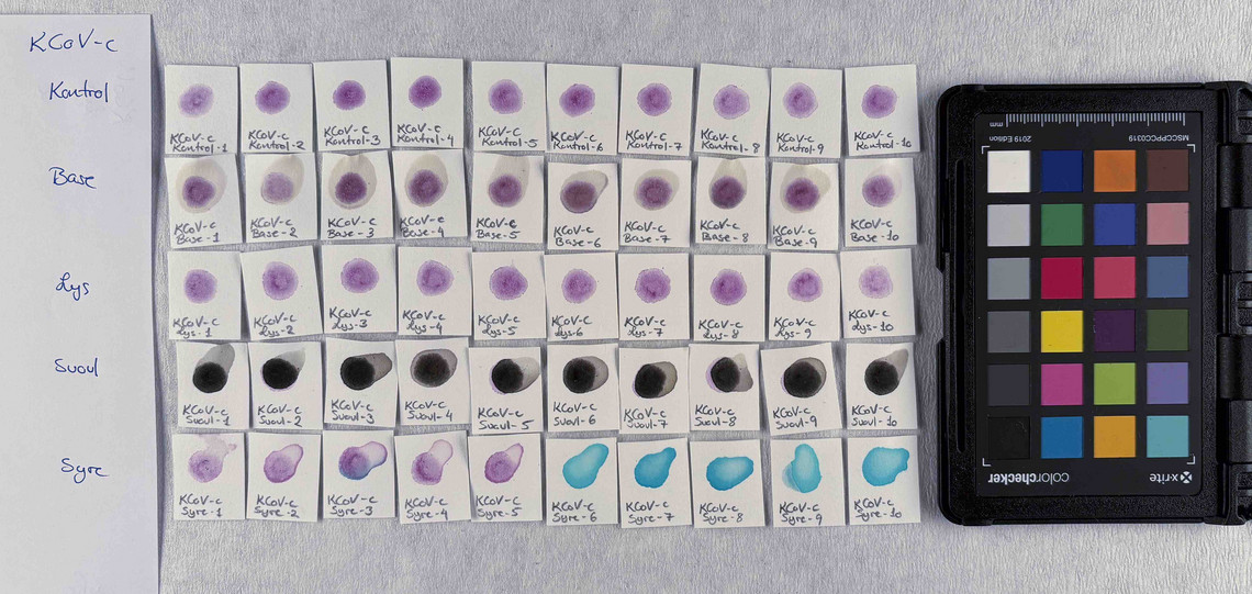 Cobalt violet in concentration c, after treatment