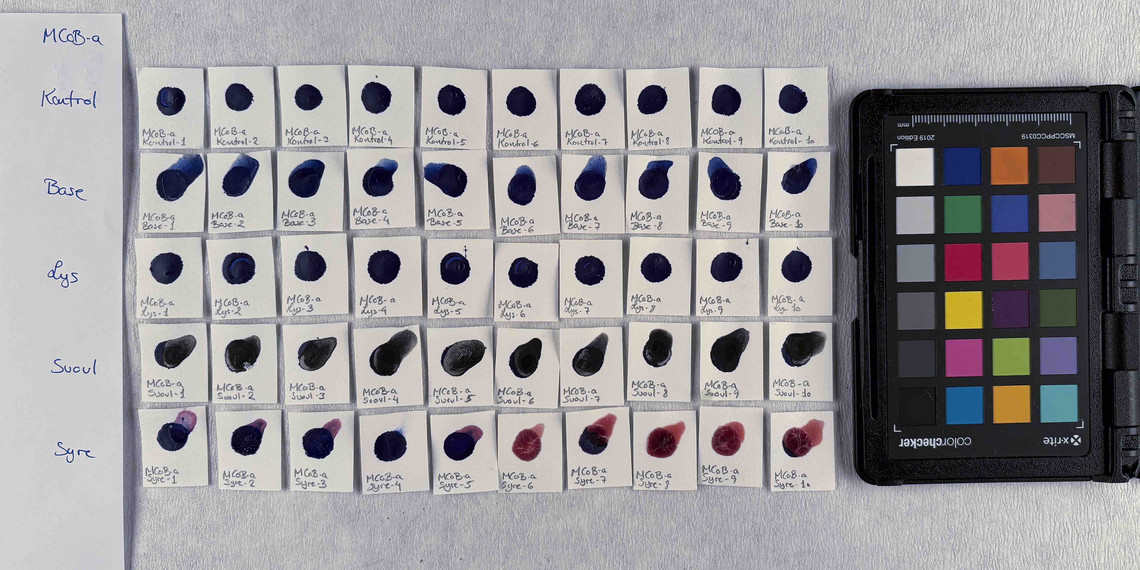 PB74 in concentration a, after treatment