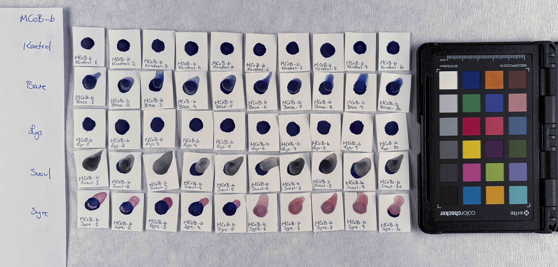PB74 in concentration b, after treatment