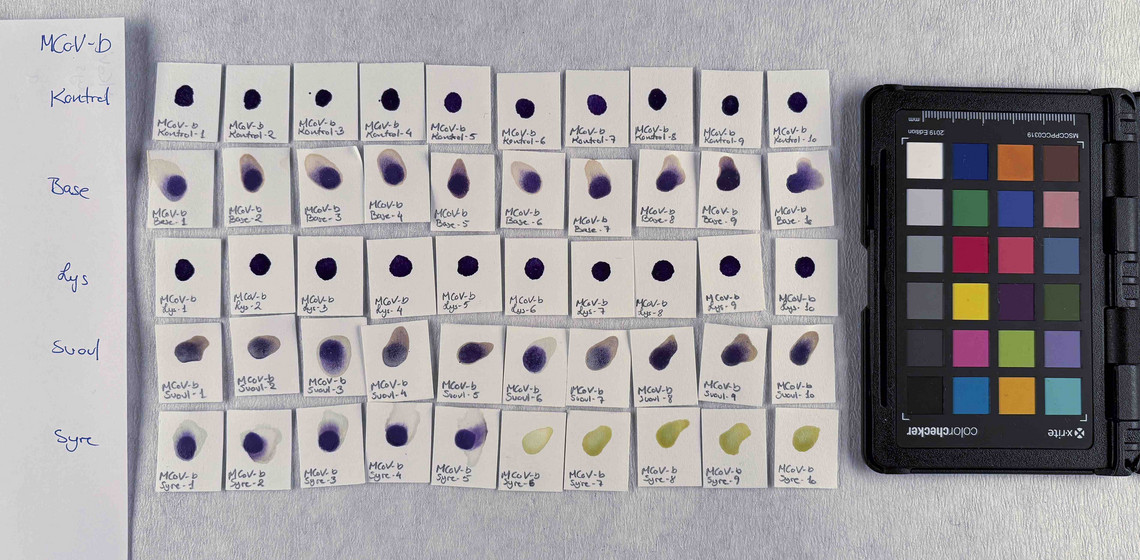 PV62 in concentration b, after treatment