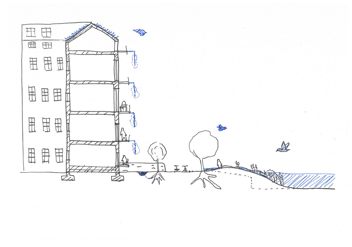 Sketch_section of the lake edge