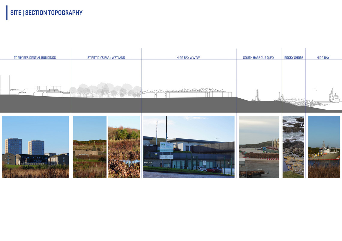 Site topography