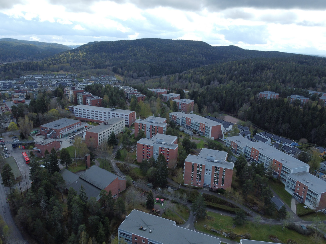 Ellingsrudåsen