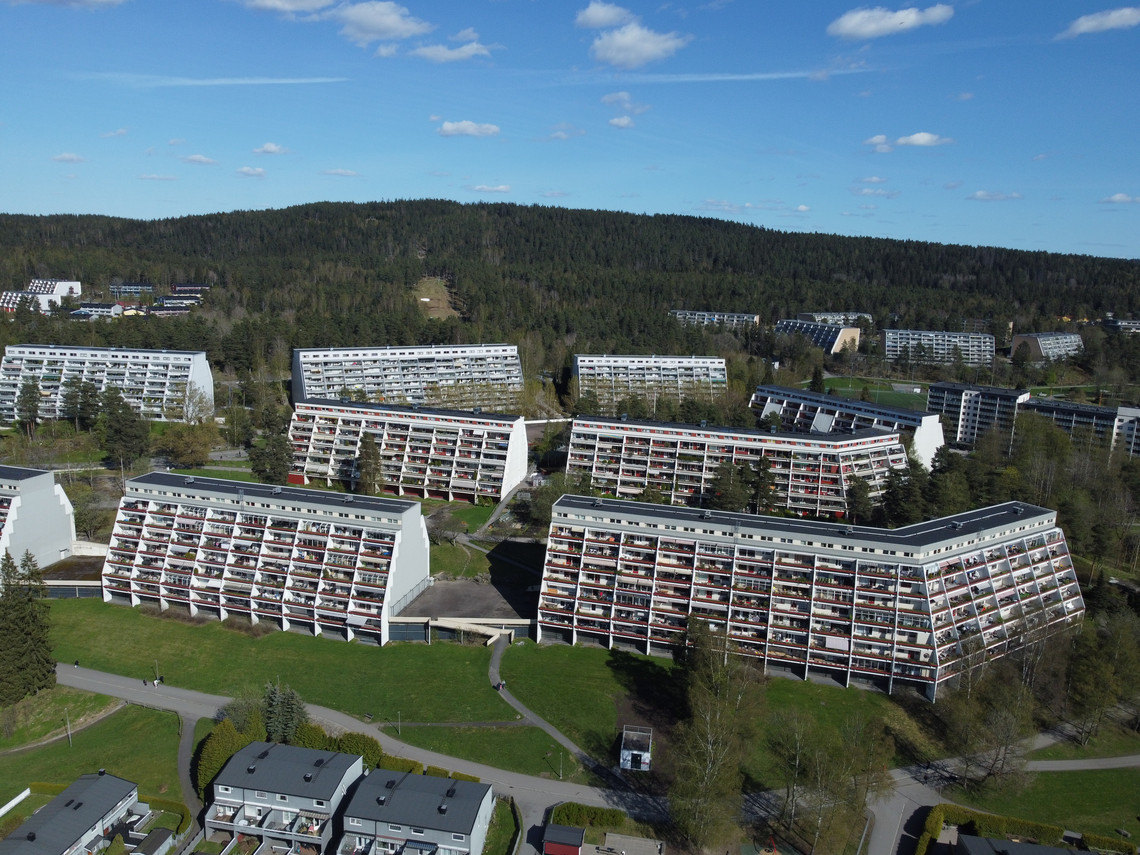 Vestli