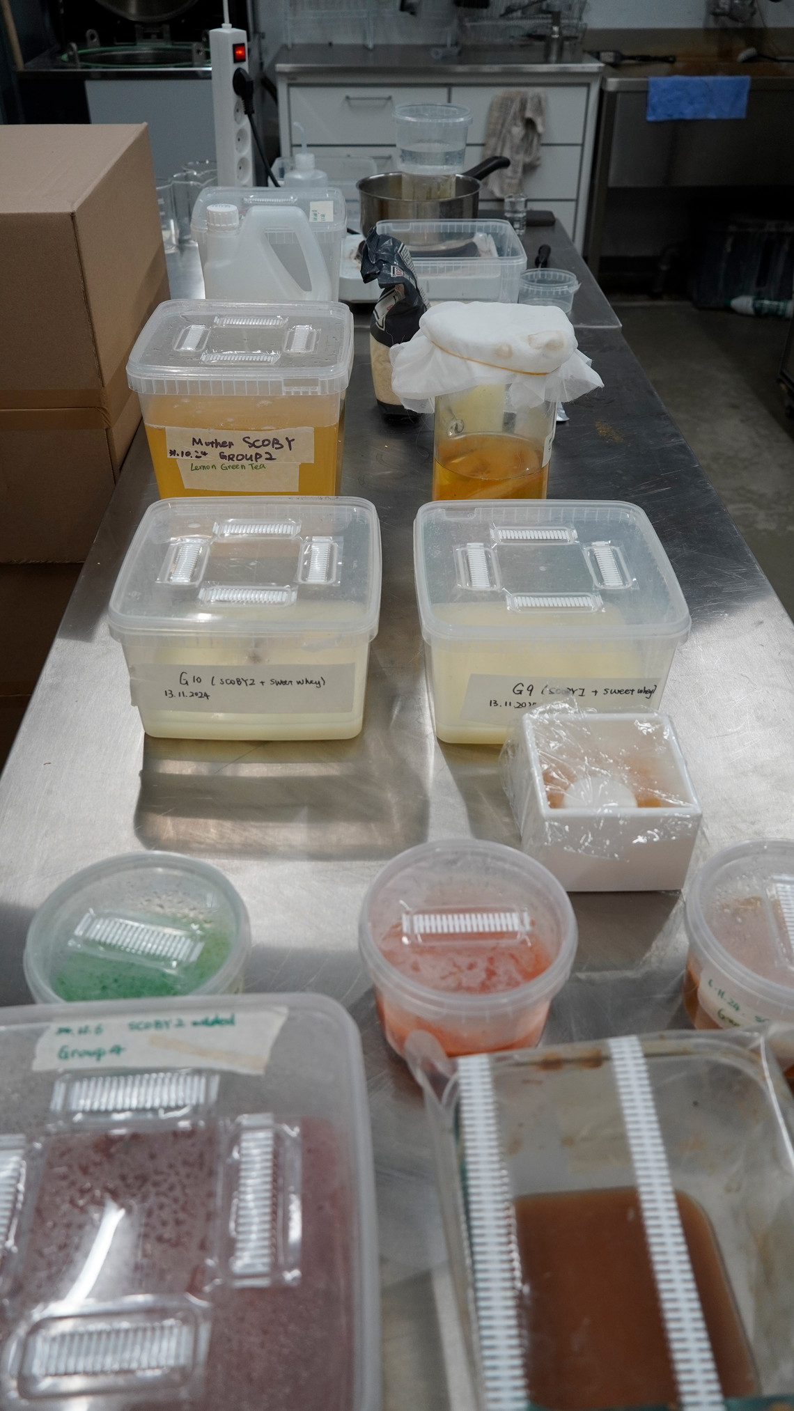 Ziyu Lin: Breathing New Life into Whey