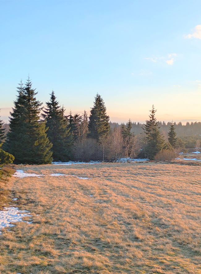 Protected Nature: Open Landscape