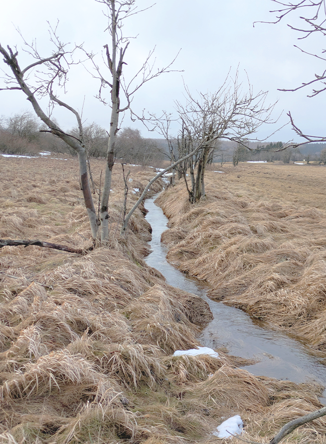 Protected Nature: UNESCO Protected Stream