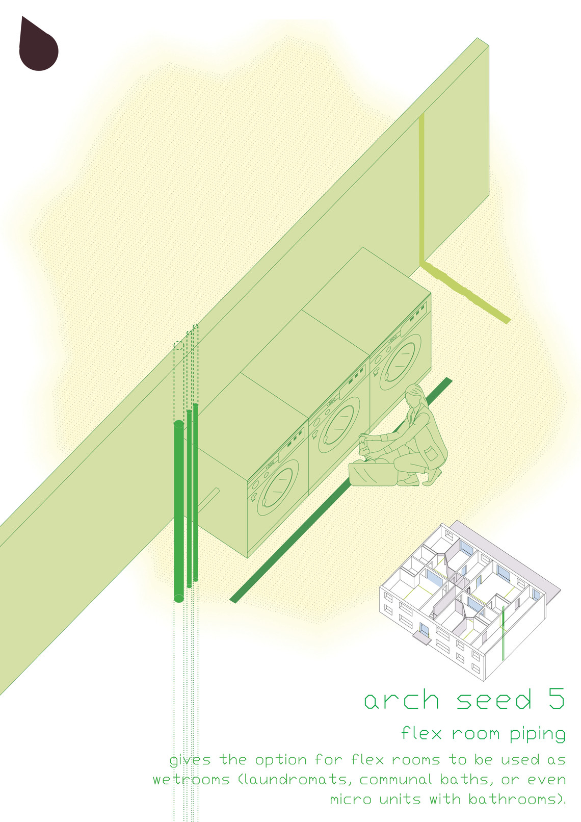 Arch seed 5