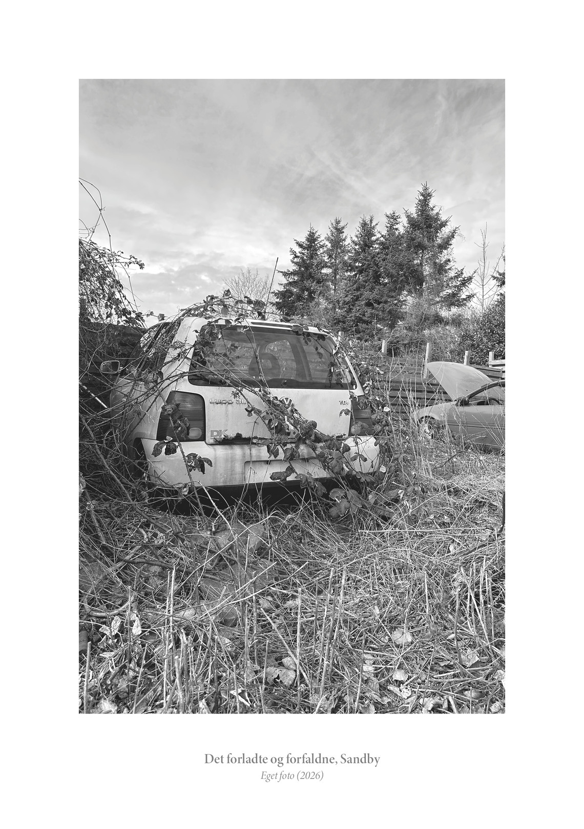 Billeder fra site