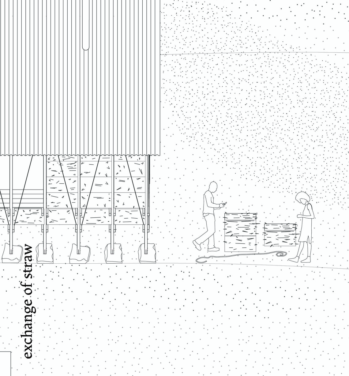 Detail_straw
