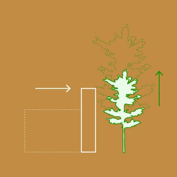 Diagram for site