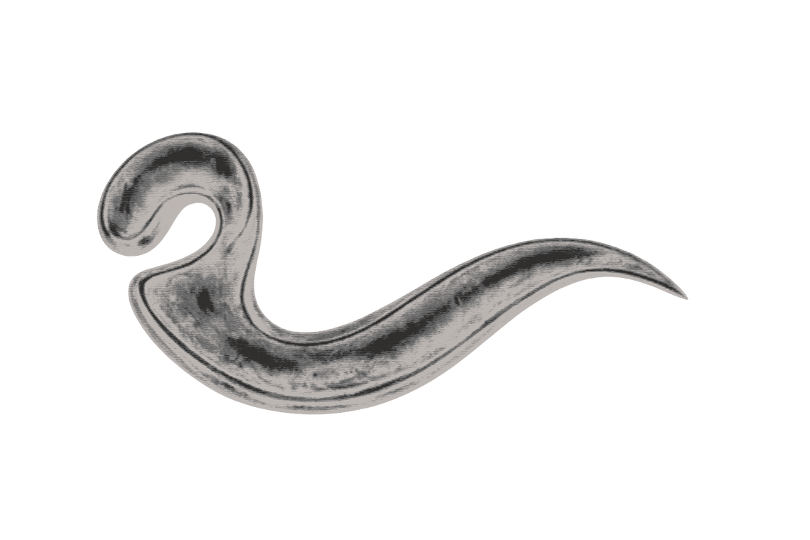 Symbol of a long, curly tail
