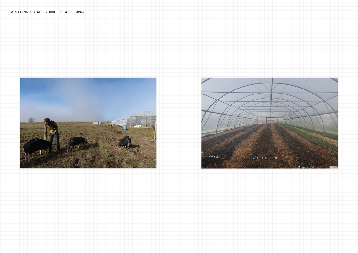 Fieldwork: Local producers