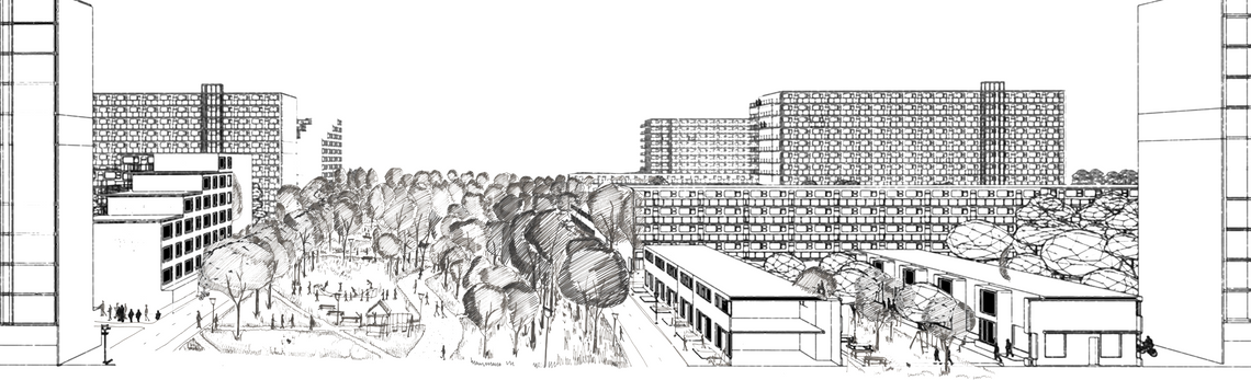 section