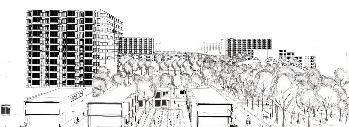 section