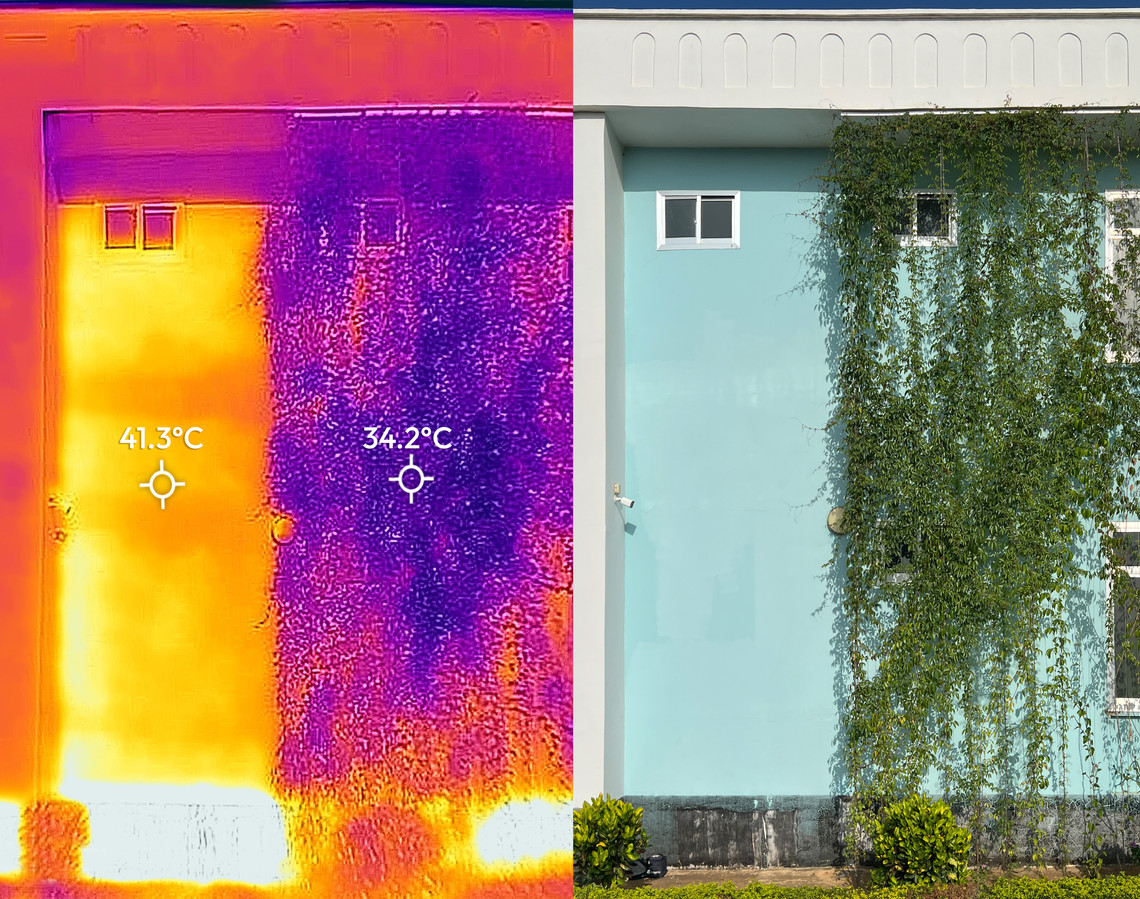 Impact of shading climbing plant wall on solar exposure