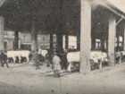 Historical picture2