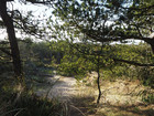 Nationalpark Thy