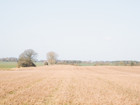 Site photo 8
