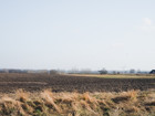 Site photo 7