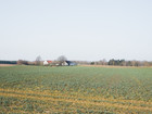 Site photo 4