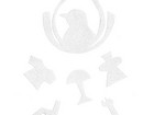 LOGO MAPPE.jpg